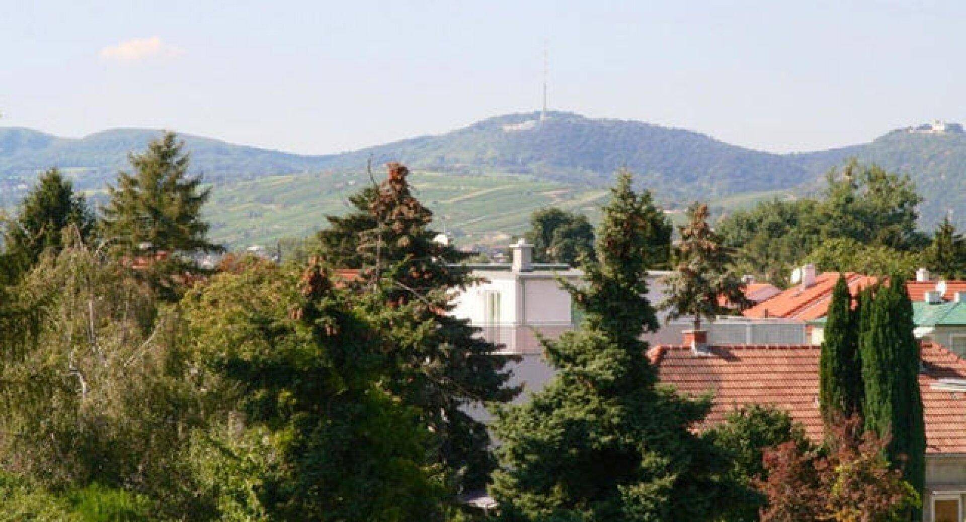 Panoramablick über grüne Hügel, Weinberge und Dächer mit Bergen im Hintergrund.