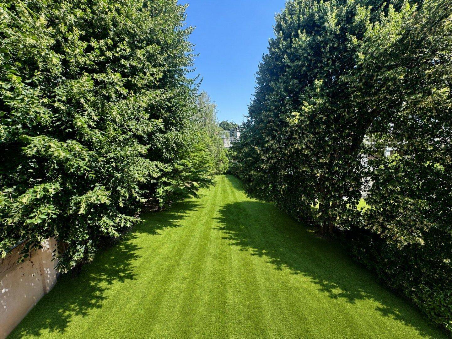 Langer, gepflegter Rasenweg, umgeben von hohen, dichten Bäumen.