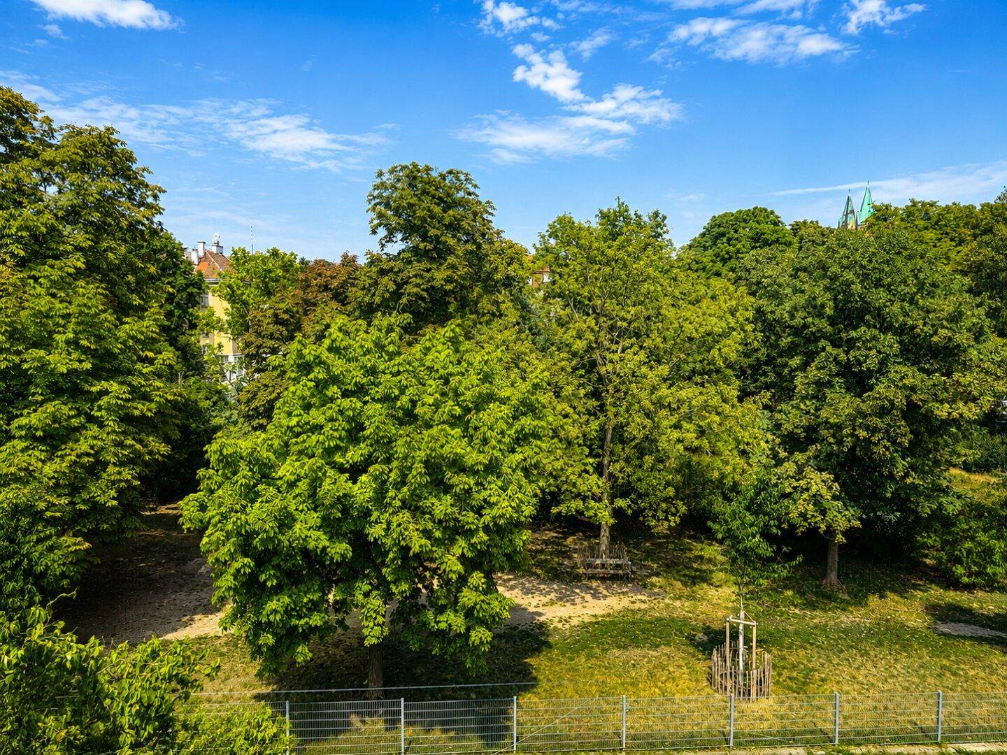 Üppige grüne Bäume und Vegetation unter blauem Himmel, die eine natürliche Umgebung zeigen.