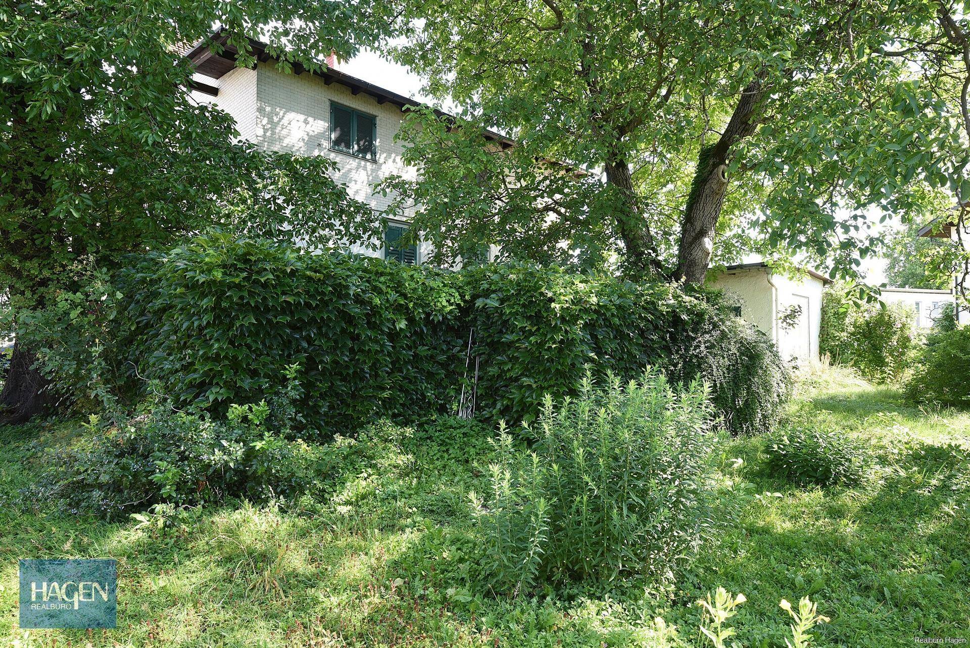 Üppig bewachsener Gartenbereich mit dichtem Efeu und hohen Bäumen, der das Haus umgibt.