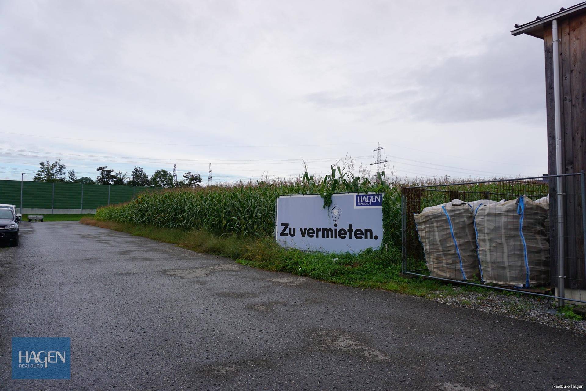 Ein 'Zu vermieten'-Schild steht vor einem Maisfeld neben einem Schotterweg und einem Gebäude.