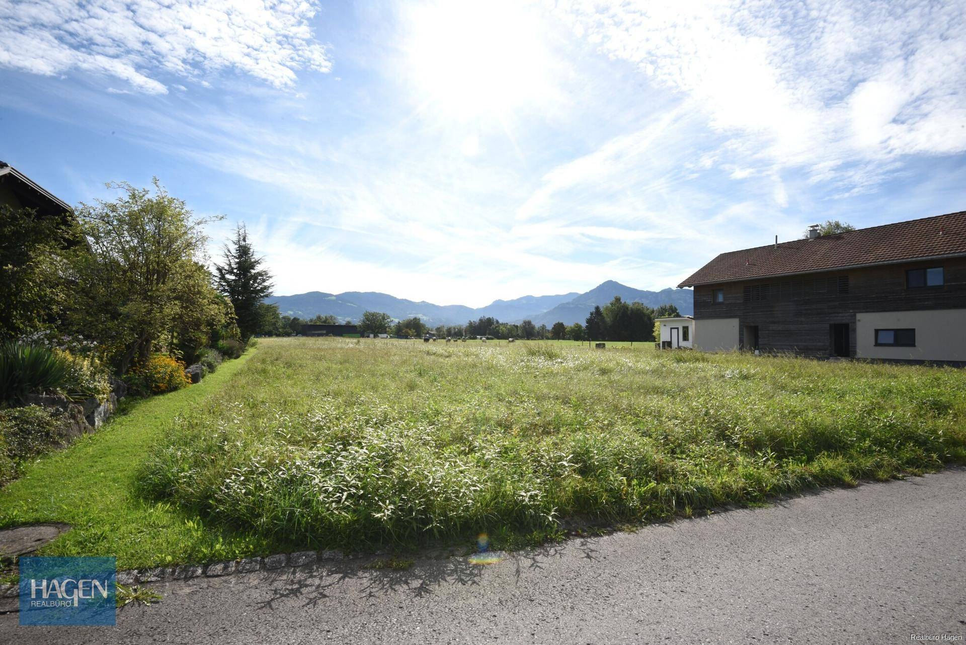 Offenes Feld mit Blick auf die Berge unter einem strahlend blauen Himmel.
