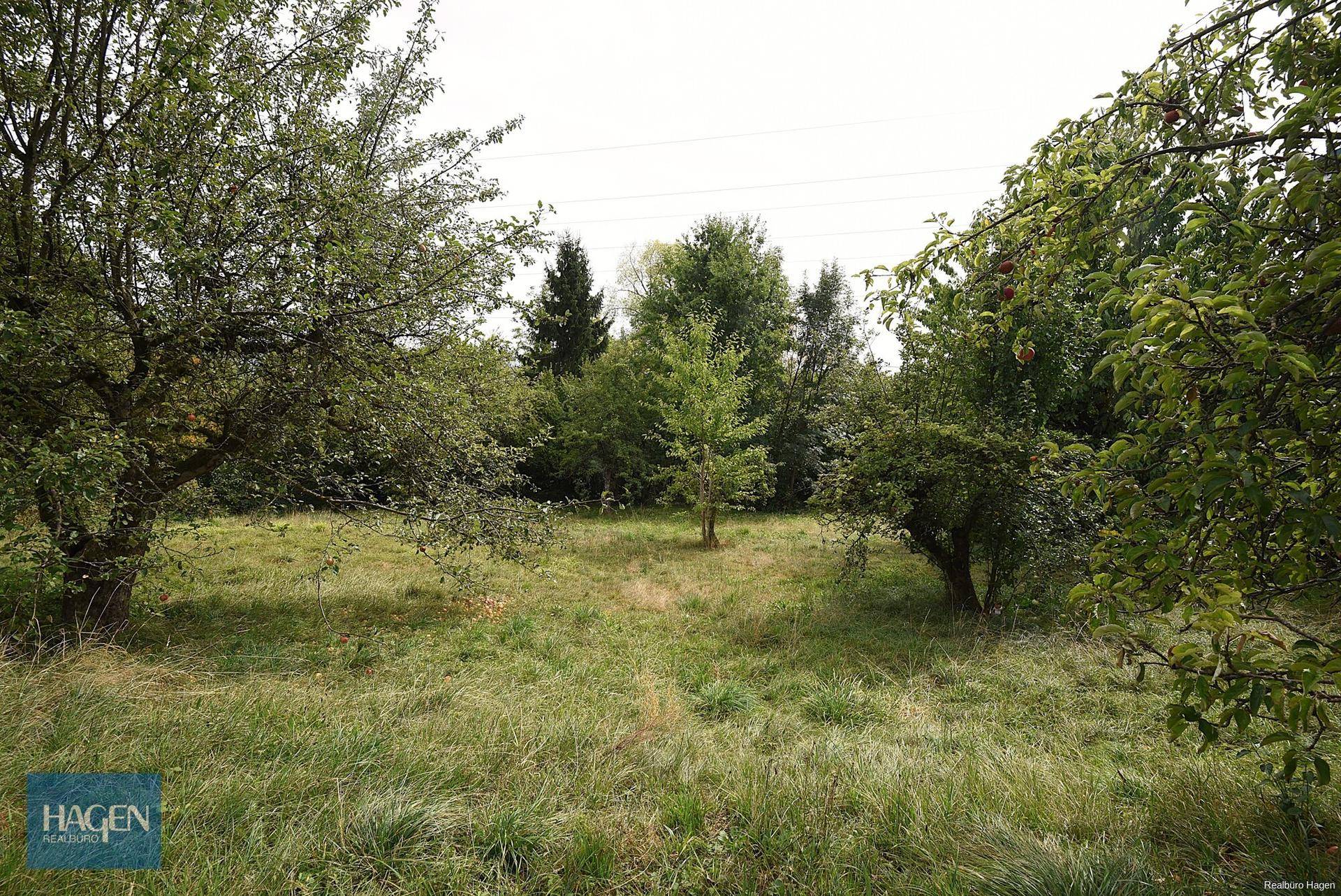 Großer Gartenbereich mit altem Baumbestand und viel Grünfläche, umgeben von Natur.
