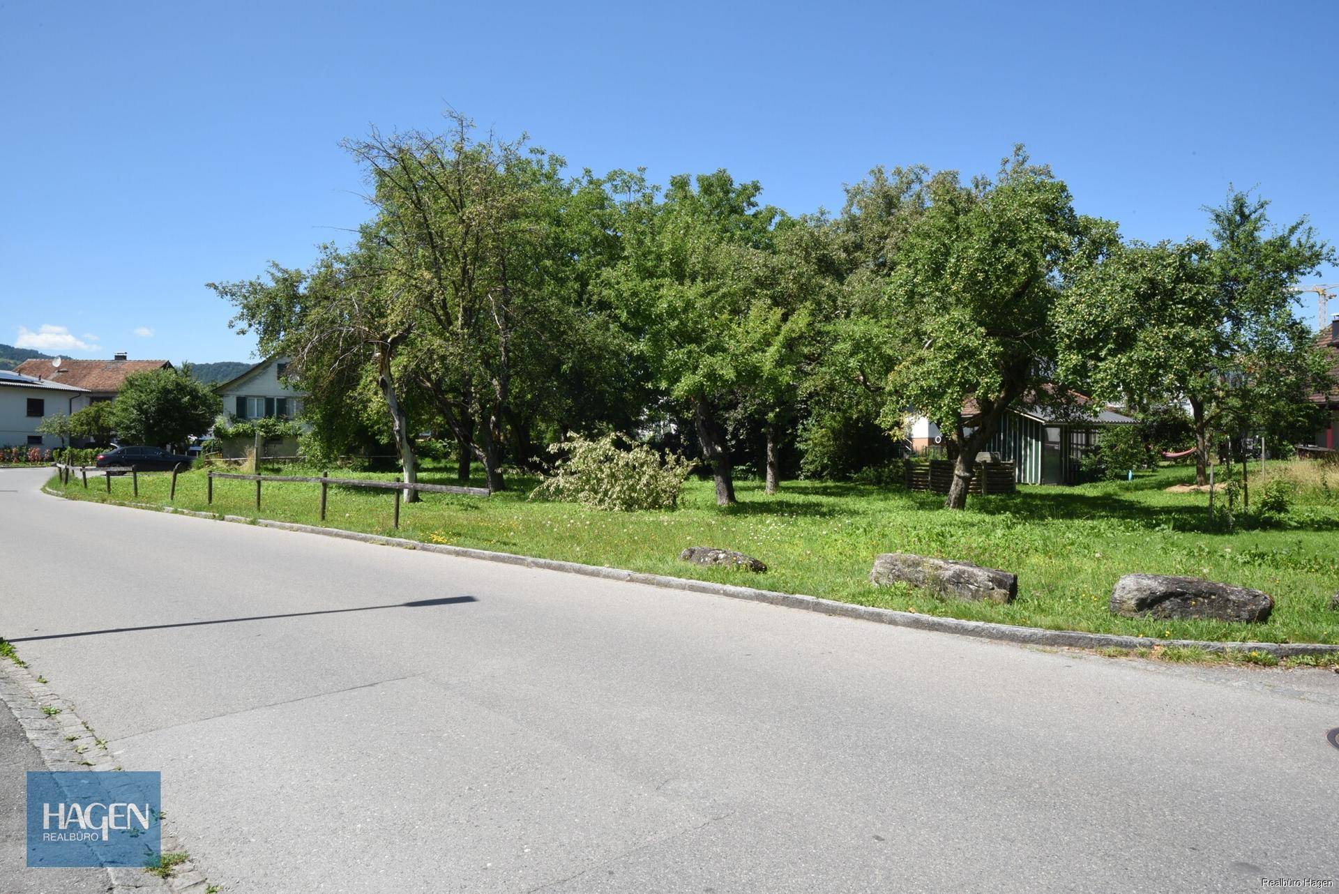 Weitläufiger Gartenbereich mit altem Baumbestand und einer ruhigen Straße im Vordergrund unter blauem Himmel.