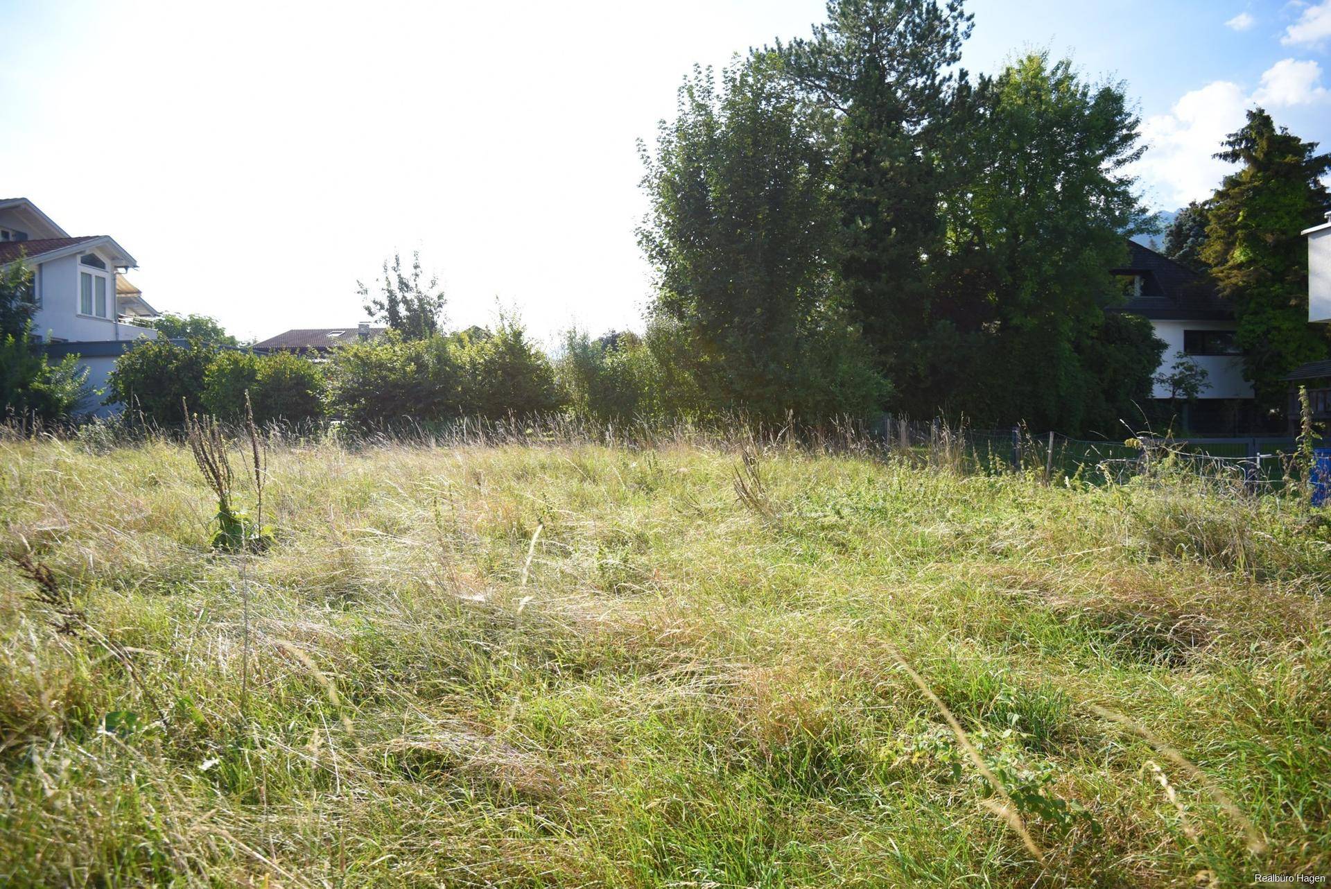 Grünes Grundstück mit hohem Gras und dichtem Baumbestand im Hintergrund.