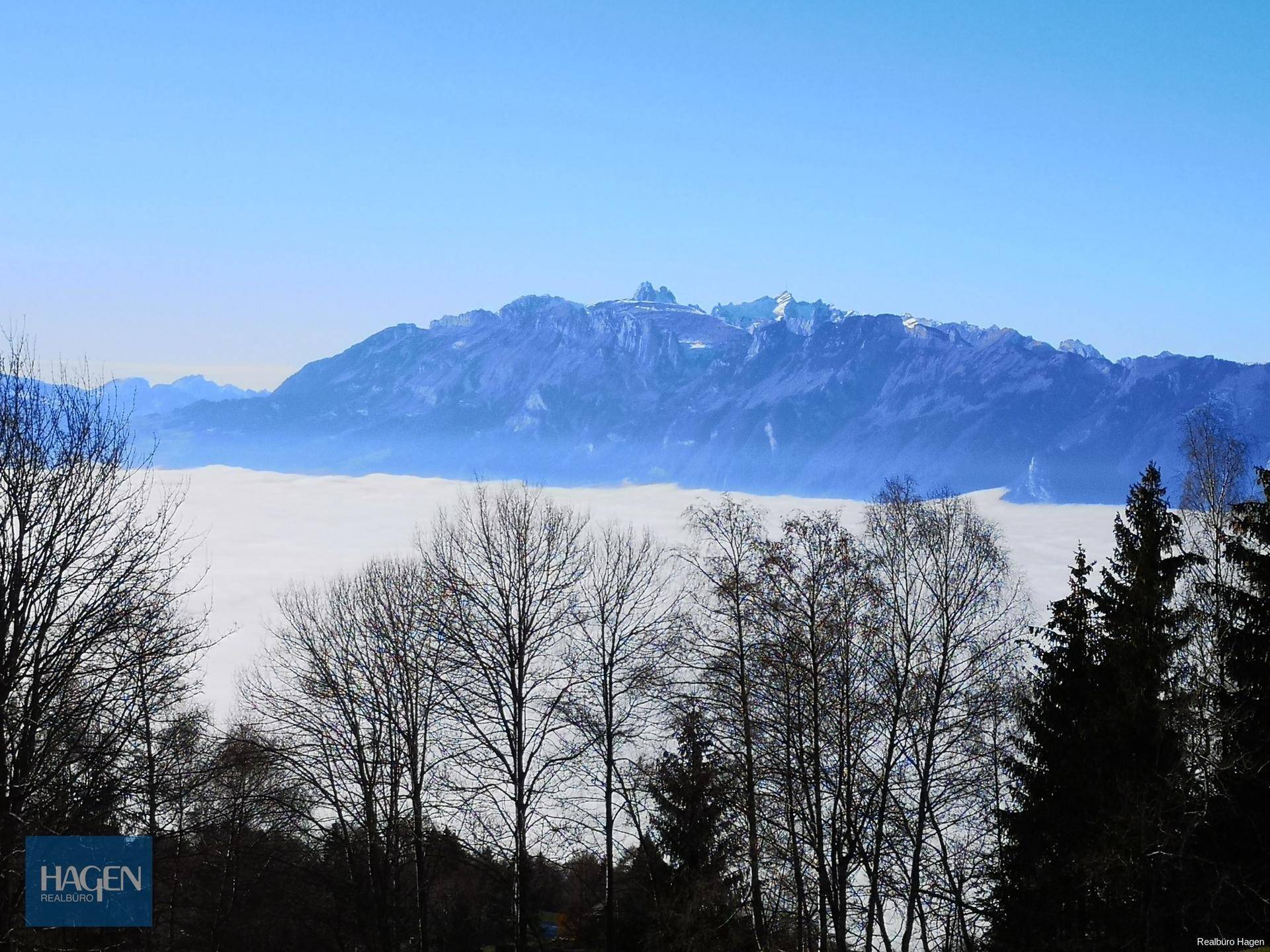 Atemberaubender Bergblick über eine Nebeldecke, umrahmt von kahlen Bäumen im Winter.