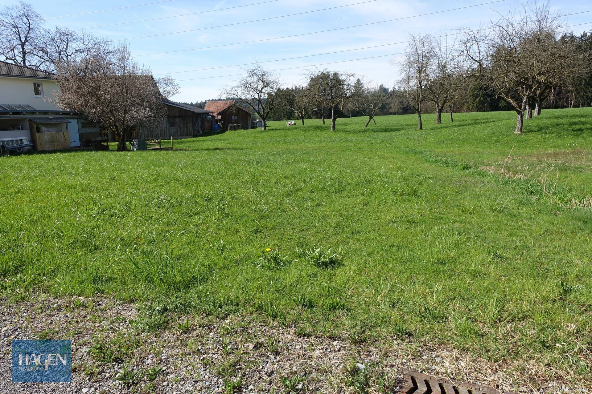 Sonnige grüne Wiese mit einem Haus und Nebengebäuden im Hintergrund, ideal für Naturliebhaber.