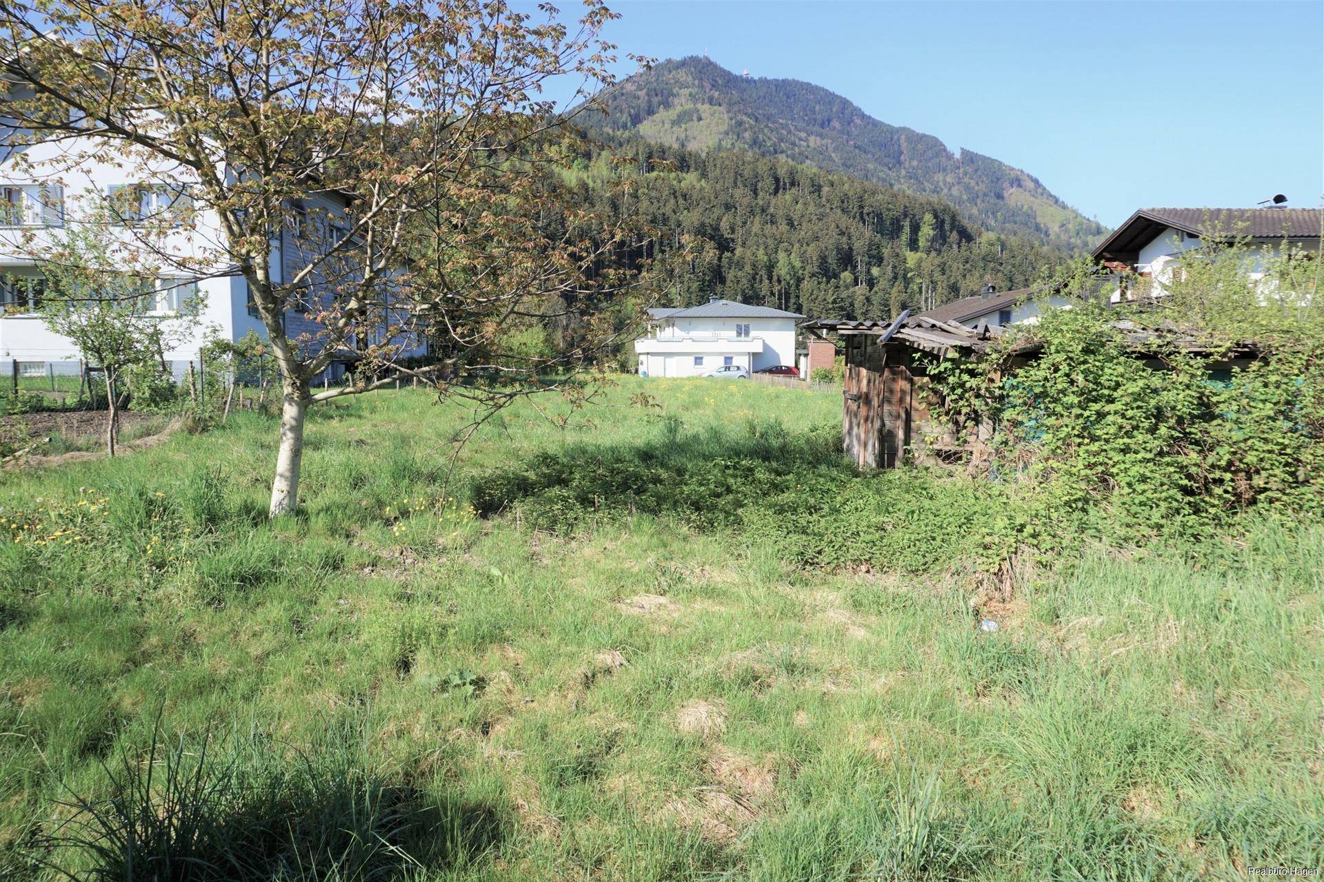 Grünes Grundstück mit Baumbestand, einem Schuppen und Bergblick im Hintergrund.