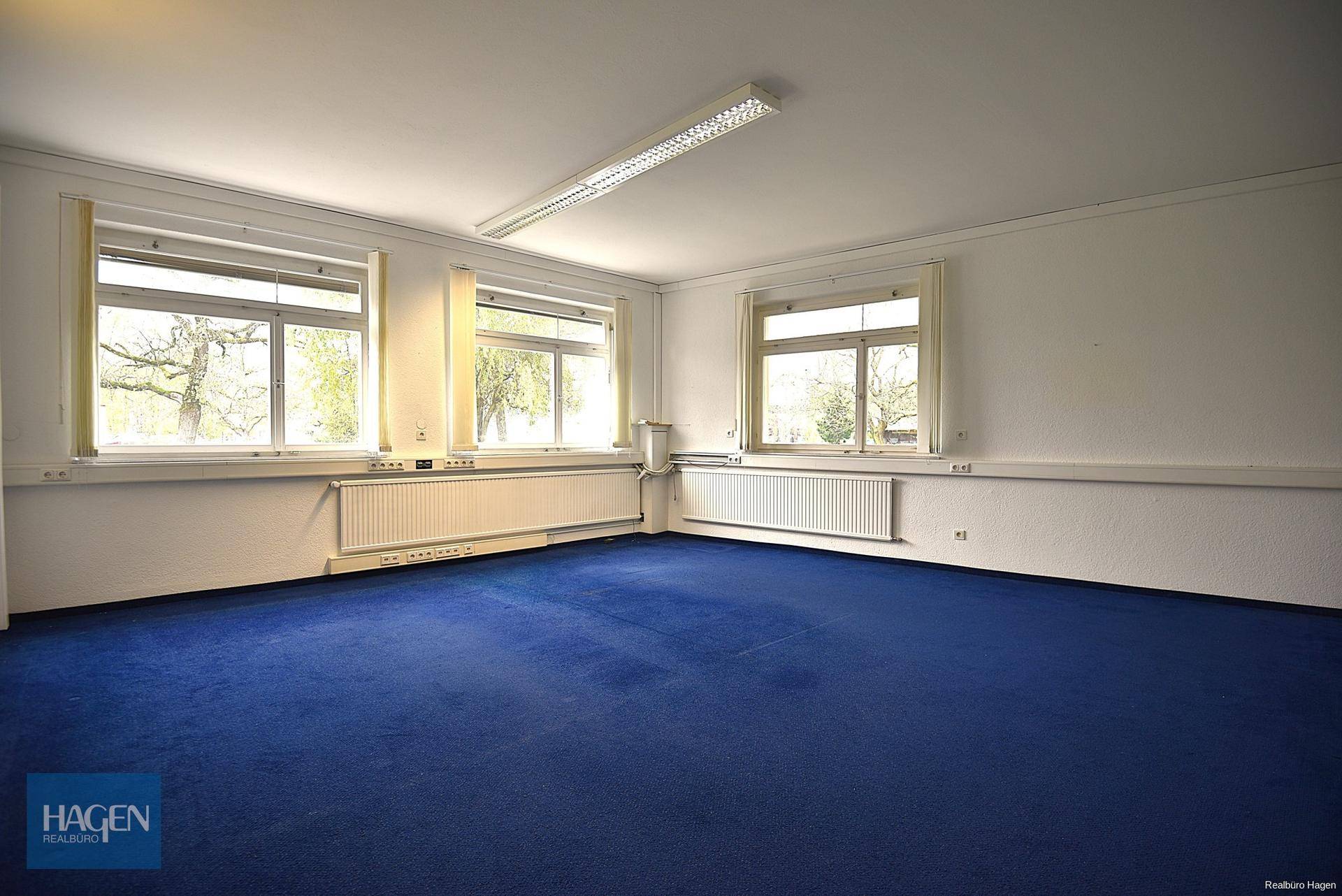 Helles Büro mit blauem Teppichboden, weißen Wänden und mehreren Fenstern mit Blick ins Grüne.