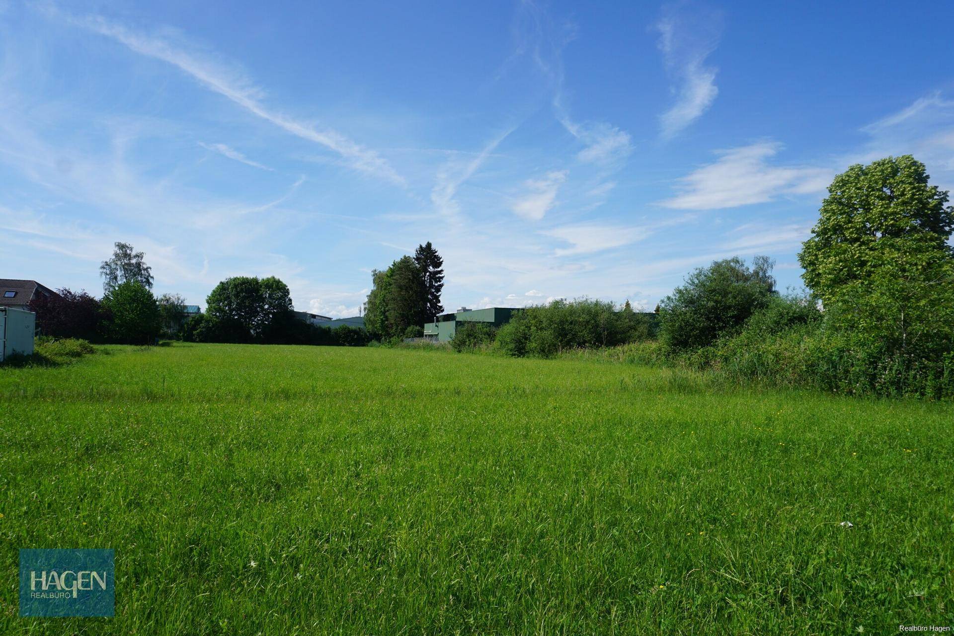 Weitläufige grüne Wiese unter blauem Himmel mit Bäumen im Hintergrund, die eine ruhige Landschaft zeigt.
