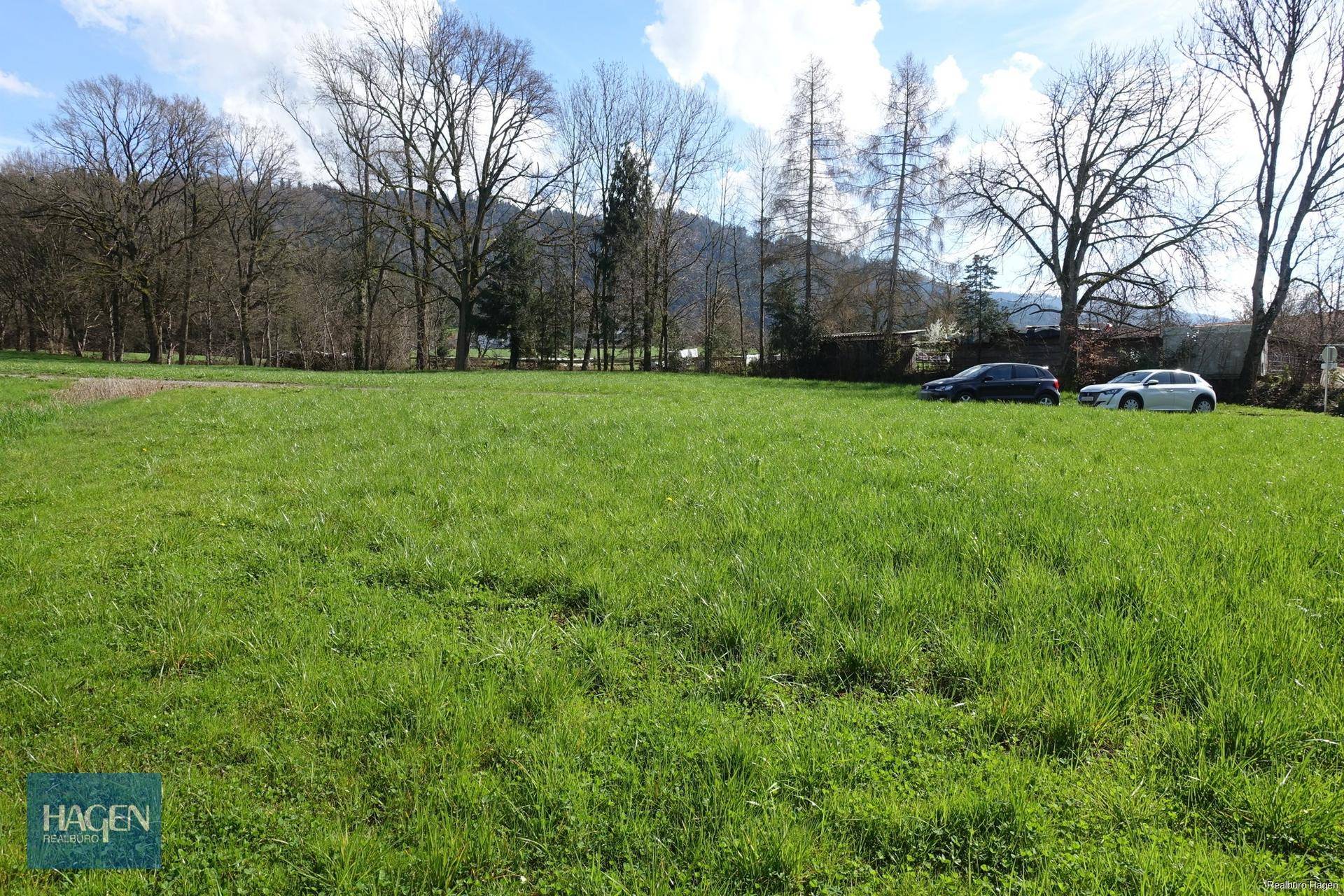 Weitläufige grüne Wiese mit parkenden Autos und bewaldeten Hügeln im Hintergrund.