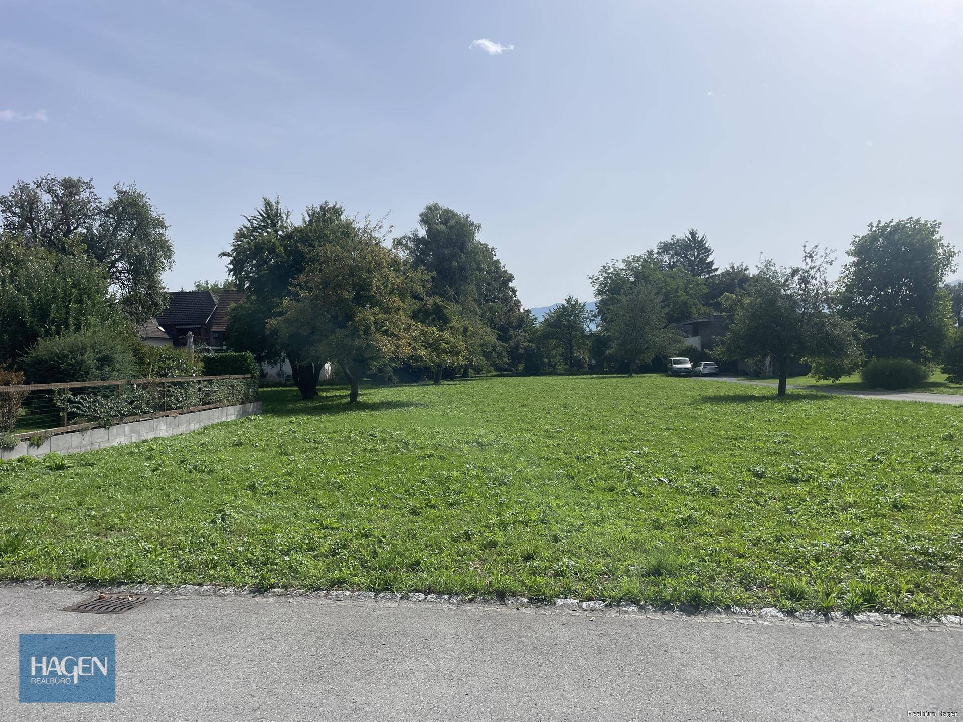Weitläufiges grünes Grundstück mit Bäumen im Hintergrund unter blauem Himmel und angrenzender Straße.