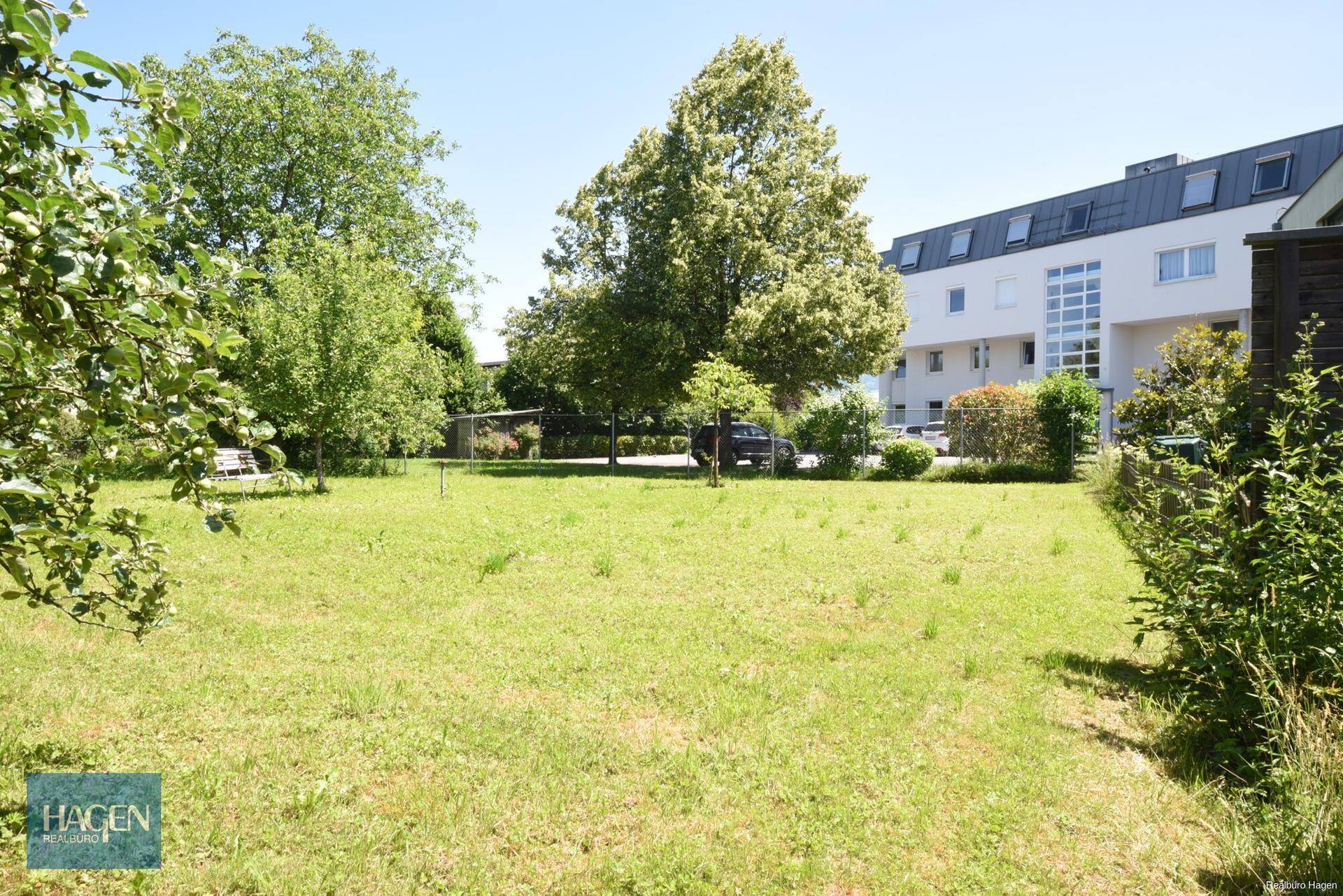 Sonniger Garten mit Bäumen und Rasenfläche, im Hintergrund ein modernes Gebäude.