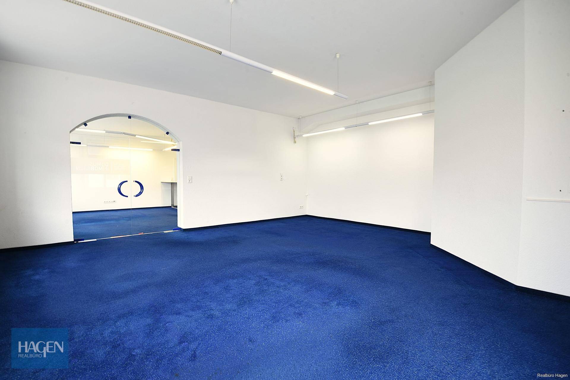 Geräumiger, leerer Büroraum mit blauem Teppichboden und weiß gestrichenen Wänden, bereit zur Einrichtung.