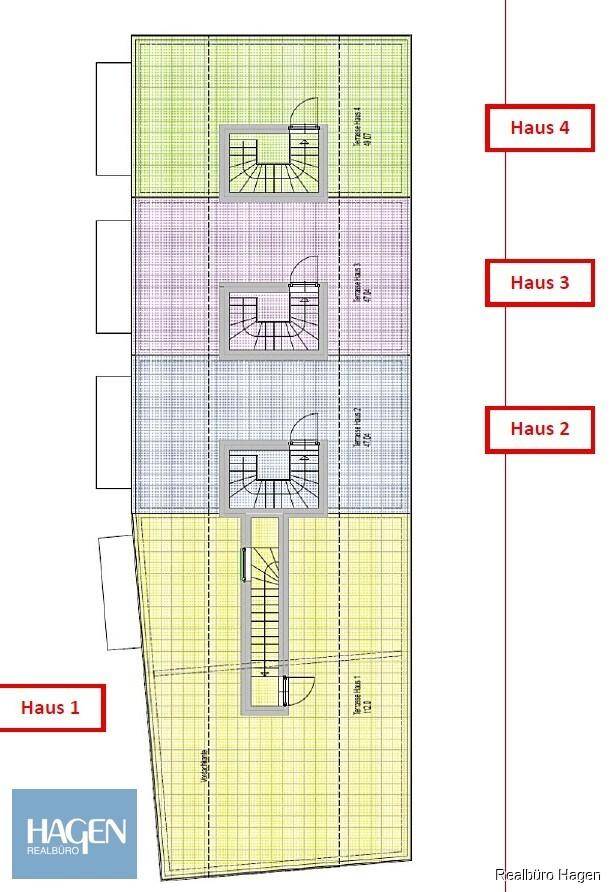 DG Plan