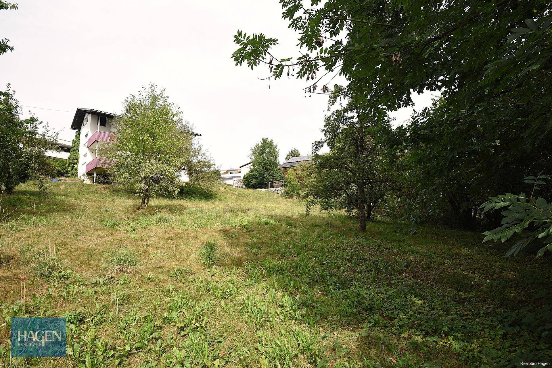 Hanglage des Gartens mit Bäumen und Blick auf das Wohnhaus im Hintergrund.
