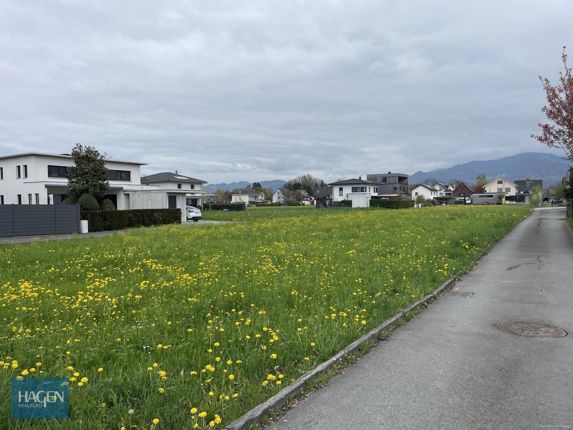 Weitläufige Wiesenfläche mit angrenzender Straße und Blick auf die umliegende Wohnbebauung und Berge.