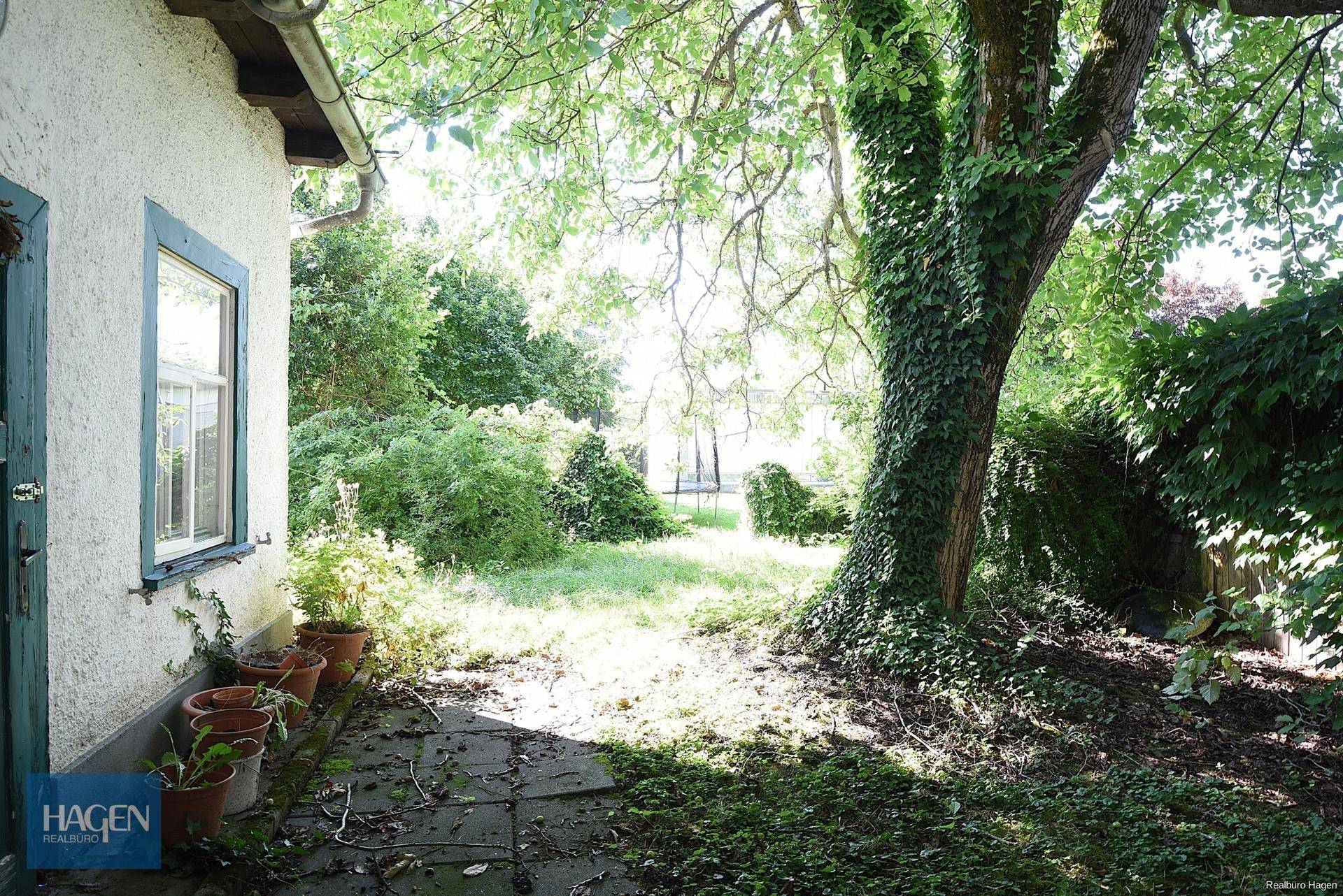 Blick von einer kleinen Terrasse in den naturbelassenen Garten mit altem, efeubewachsenem Baum.