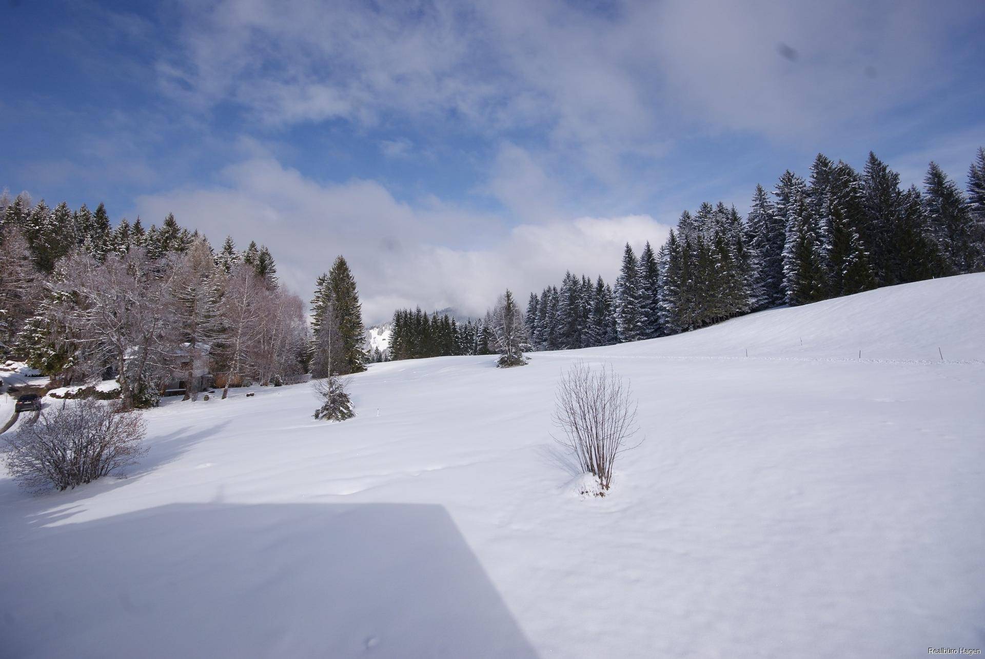 Winterliche Landschaft mit verschneiten Wiesen und Tannenbäumen unter blauem Himmel und Wolken.
