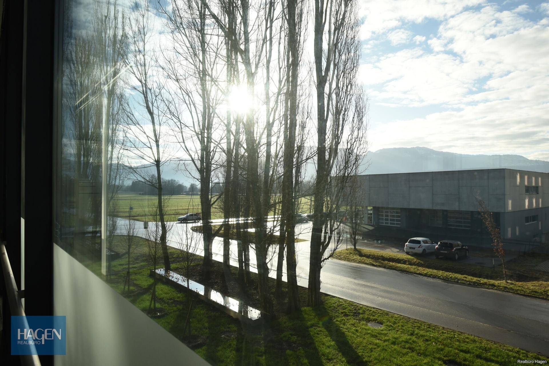 Heller Innenraum mit weitem Blick durch große Fenster auf Bäume, eine Straße und ferne Berge.
