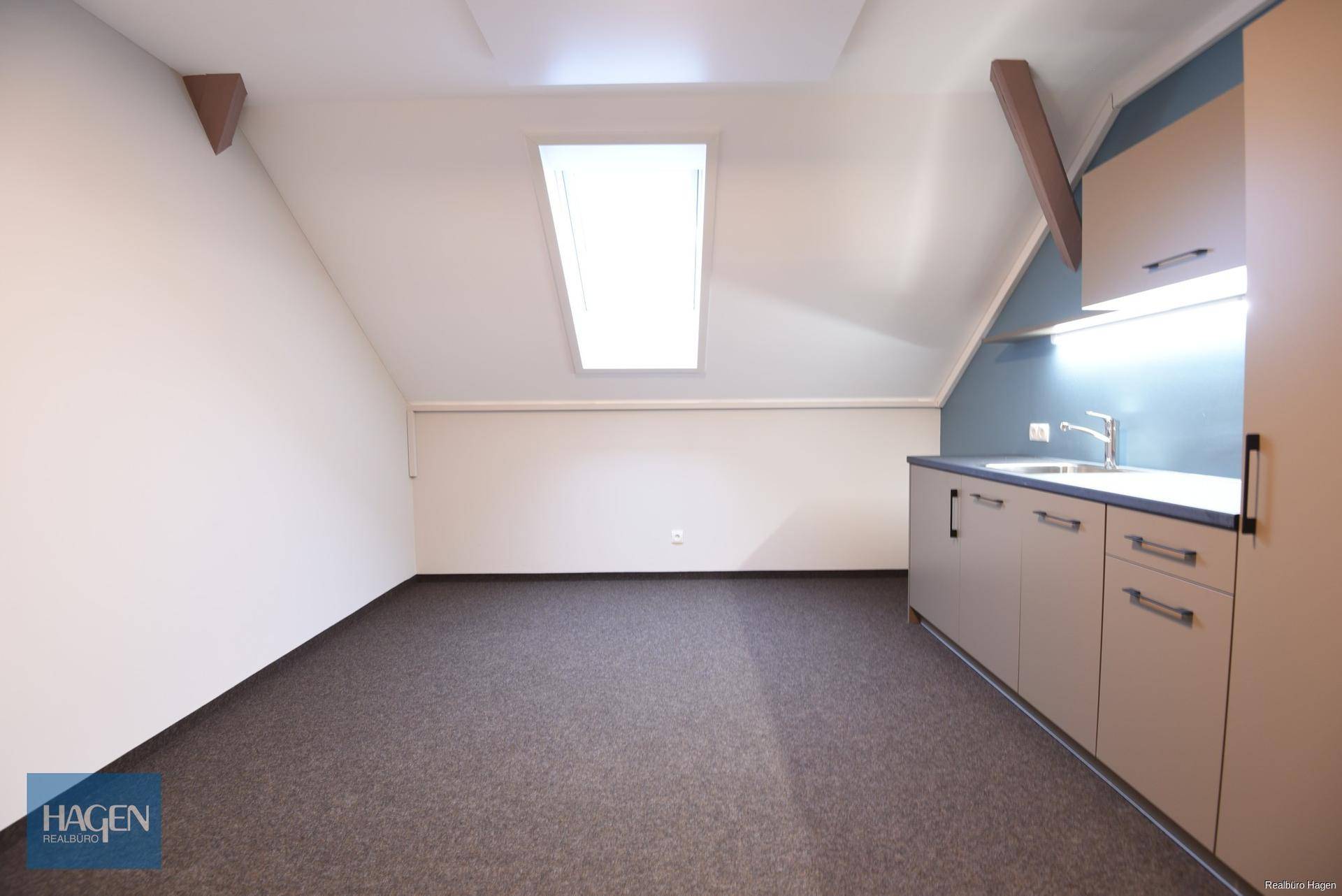 Geräumiger Dachgeschossraum mit Teppichboden, Dachfenster und schrägen Wänden, bietet vielseitige Nutzungsmöglichkeiten.