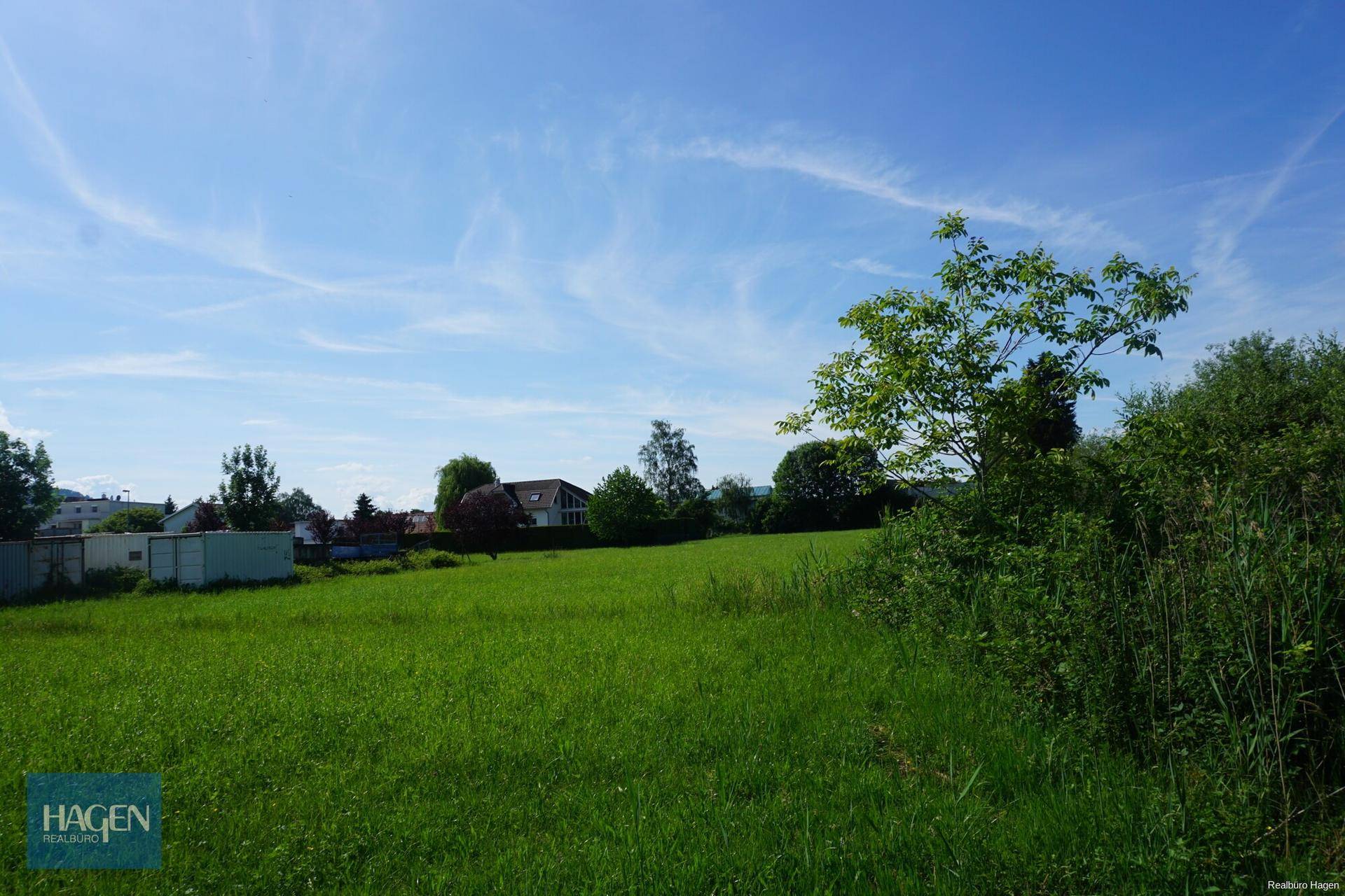 Sonnige grüne Wiese mit Büschen und Bäumen, im Hintergrund sind Häuser sichtbar, die eine ländliche Szene bilden.