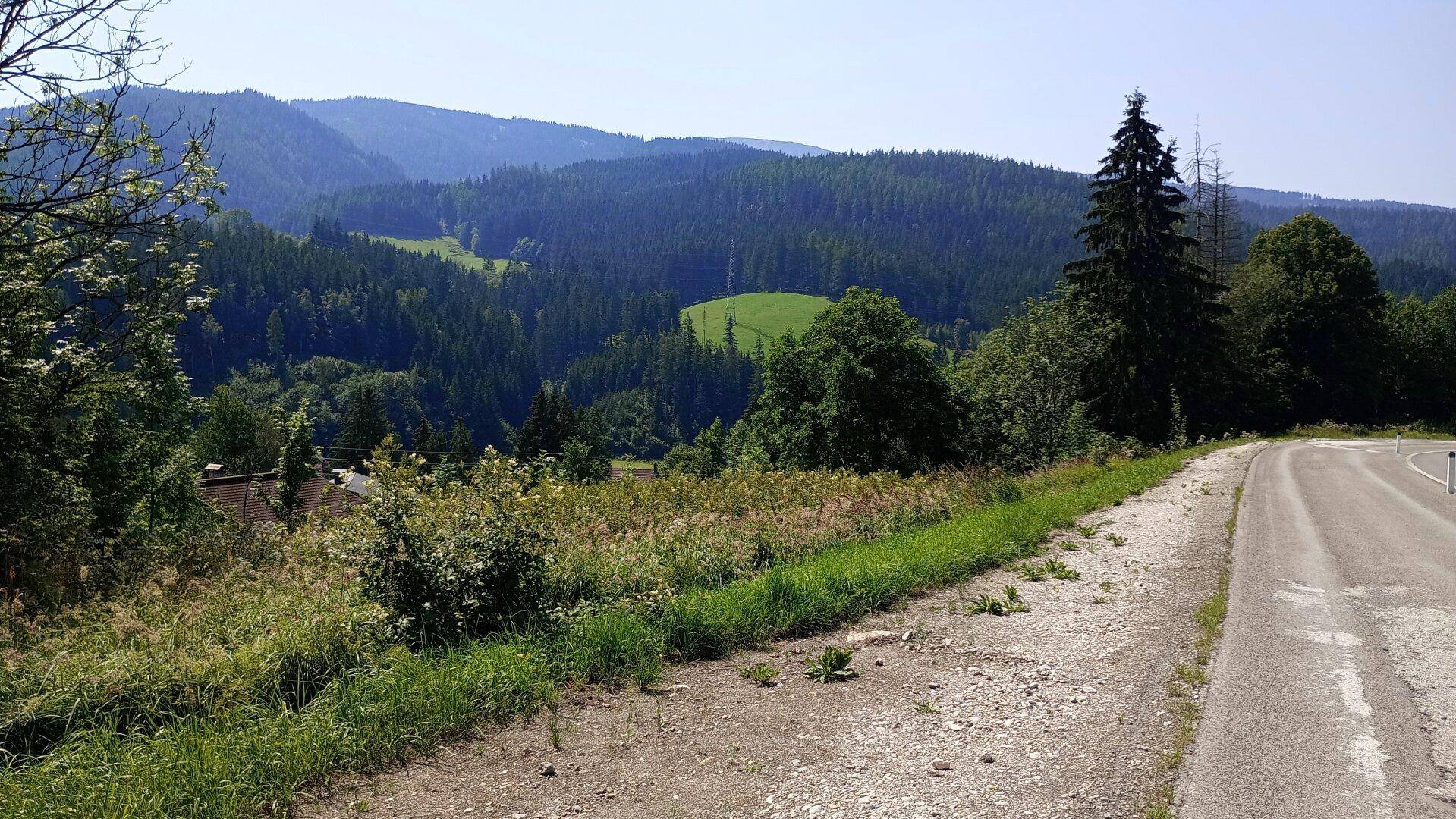 Serpentinenstraße mit grüner Böschung und weitem Blick auf bewaldete Hügel und Berge.