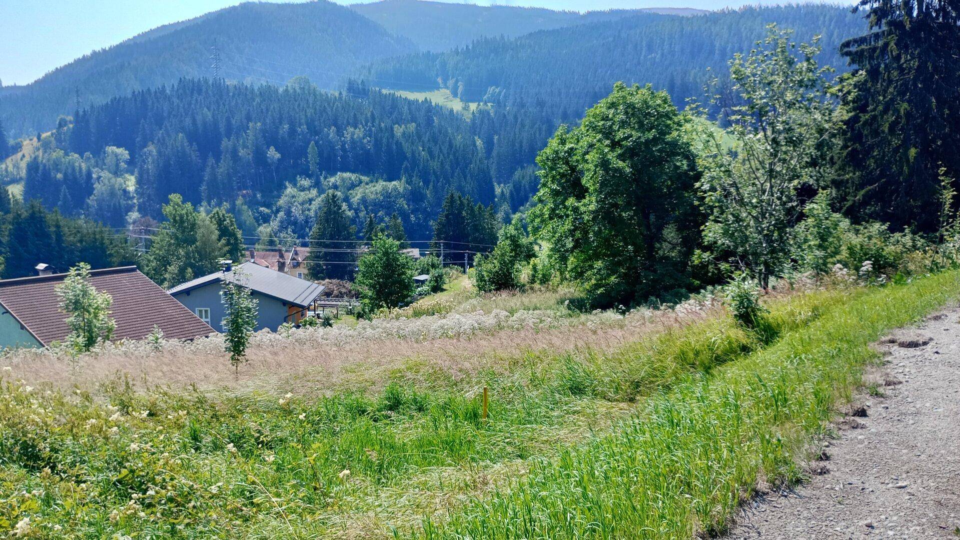 Grüne Wiese mit Häusern im Hintergrund und bewaldeten Bergen unter blauem Himmel.