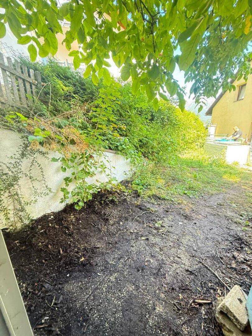Blick in den Gartenbereich mit üppigem Grün, einem Holzzaun und einem Wohnhaus im Hintergrund.