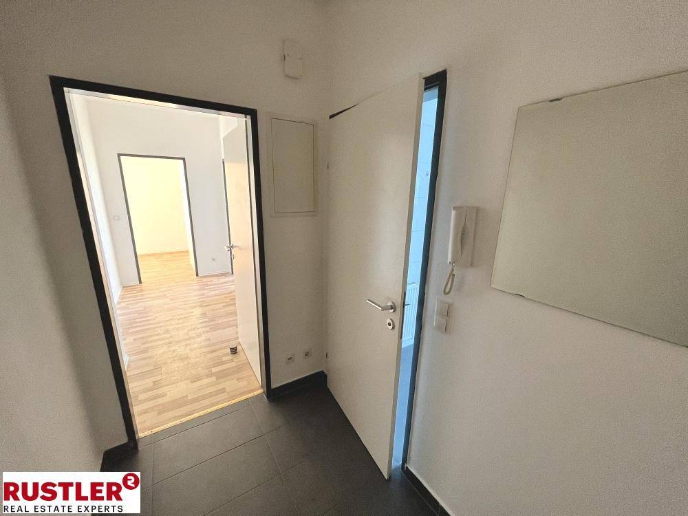 Eingangsbereich mit dunklen Fliesen, Gegensprechanlage und Zugang zu den Wohnräumen.