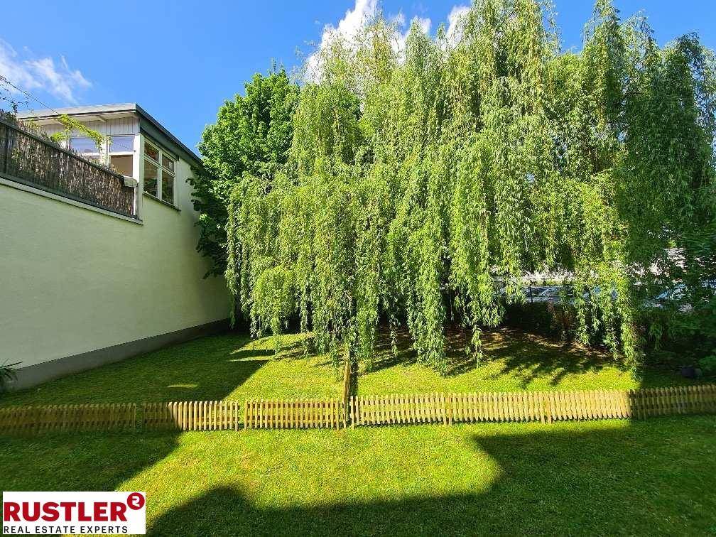 Garten (2)