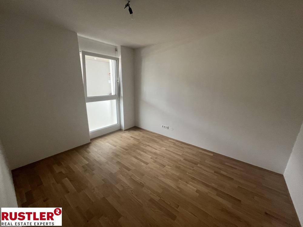 Zimmer 2
