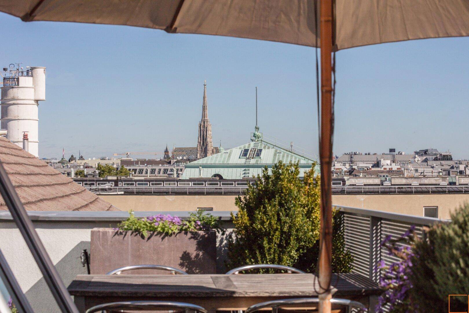 View to Saint Stephans Cathedral