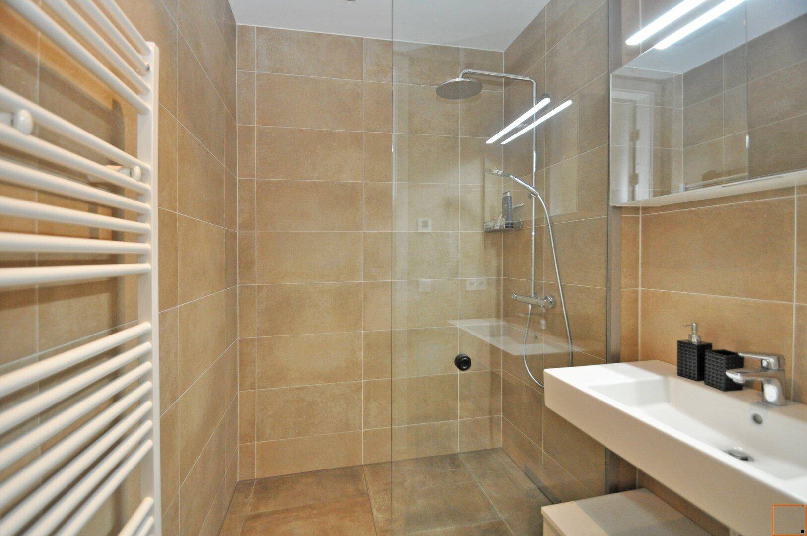 Modernes Badezimmer mit begehbarer Dusche, Einzelwaschbecken und beheiztem Handtuchhalter.