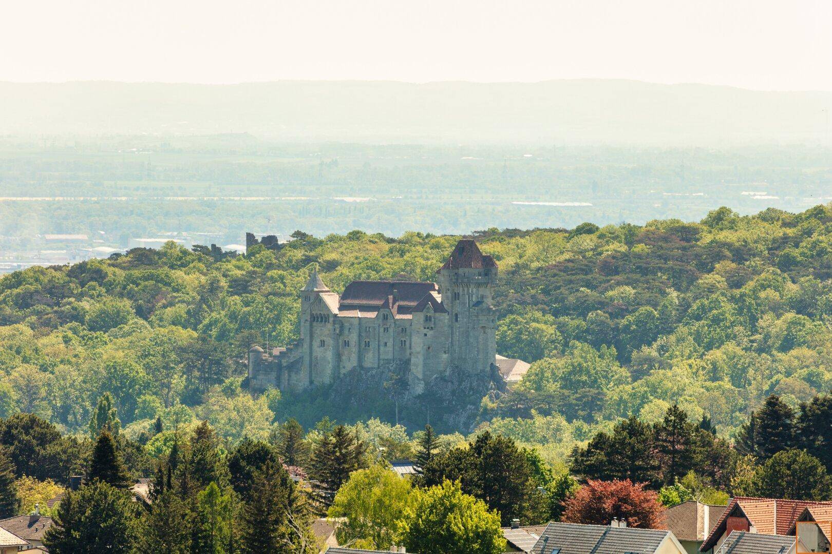 Blick zur Burg Liechtenstein