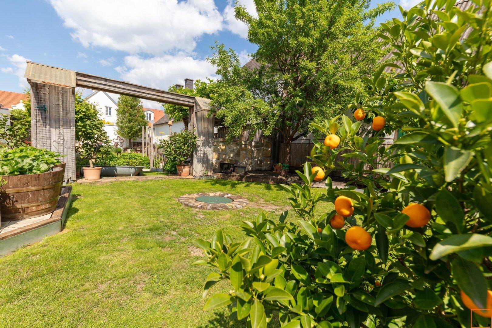 Garten mit Wasserreservoir