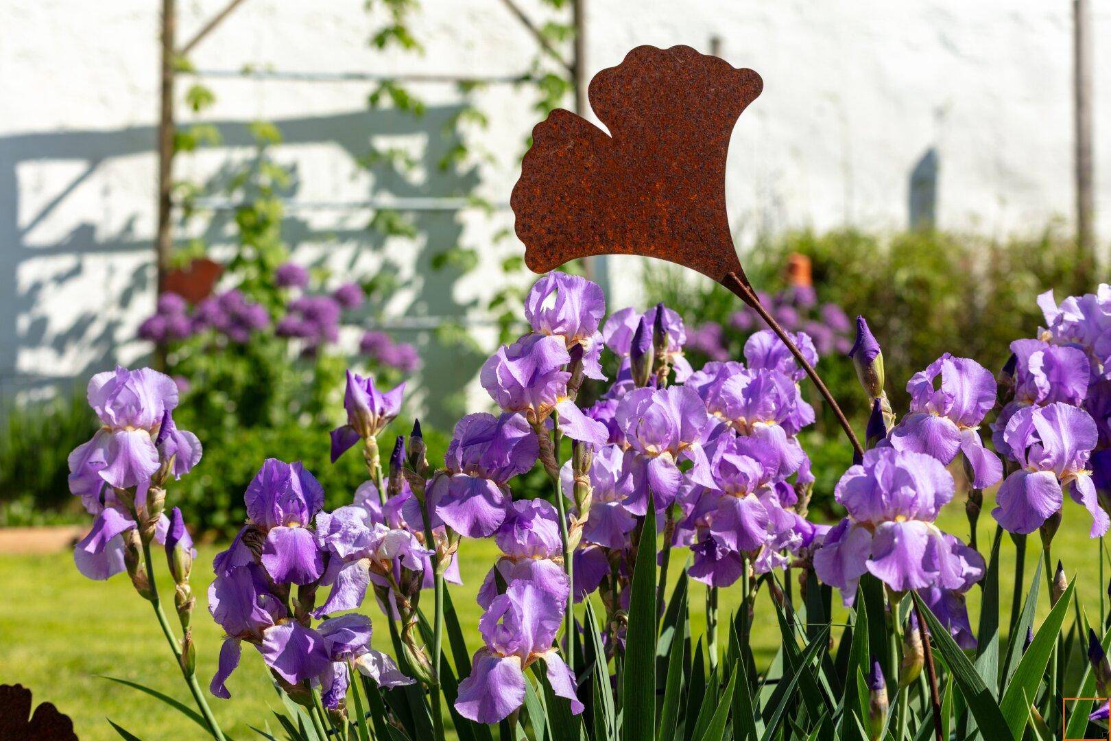 Blumenpracht