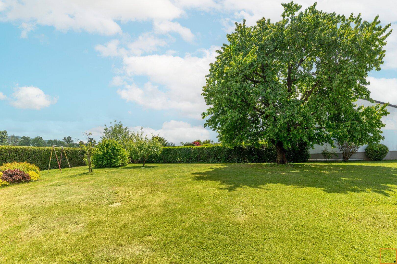 Garten_Spielplatz_Hecke