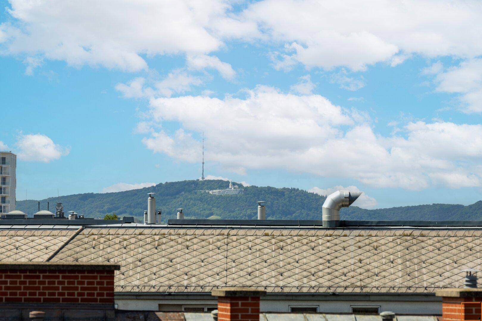 Blick_Klosterneuburg