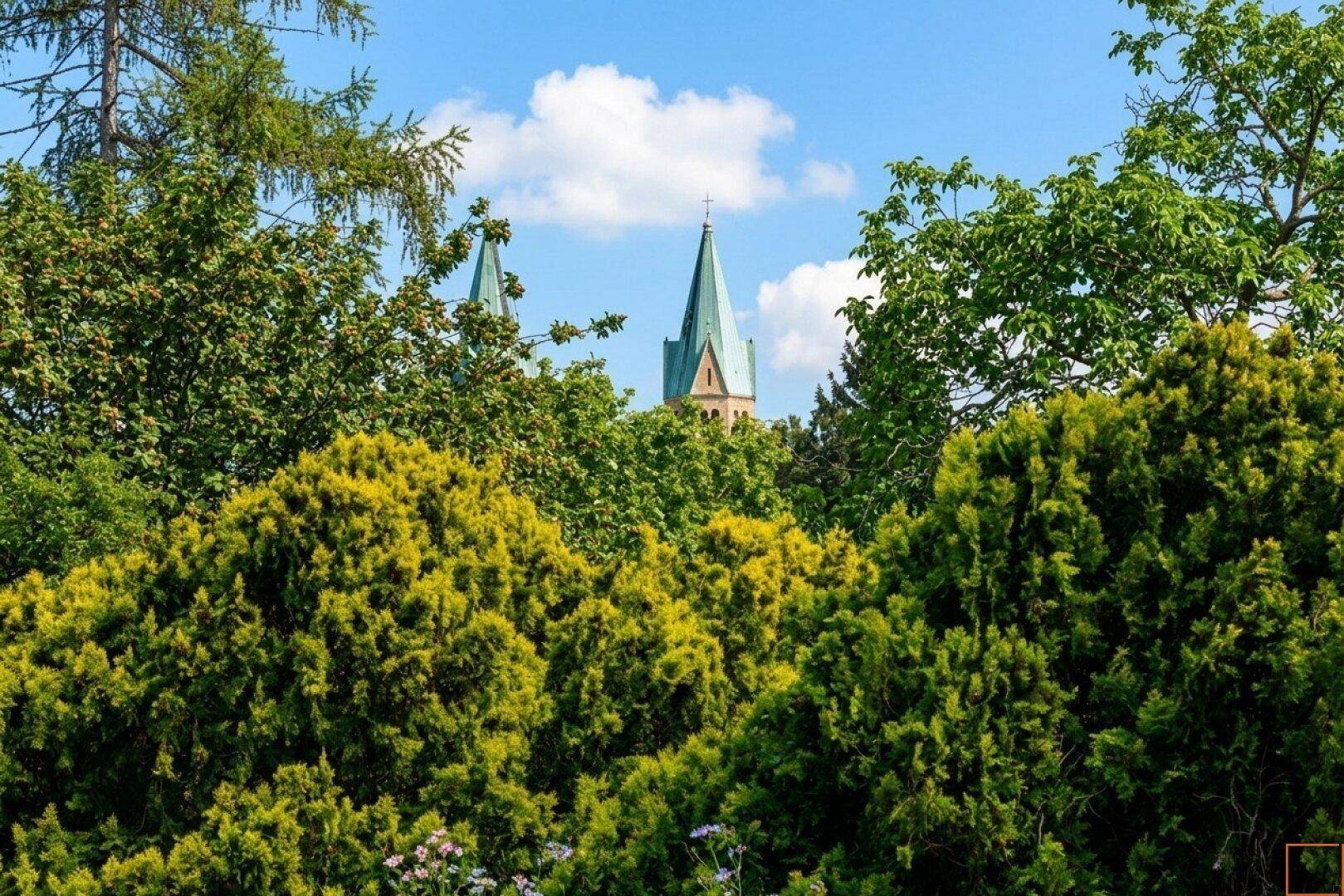 Malerischer Blick auf Kirchtürme, umgeben von üppigem Grün und Bäumen.