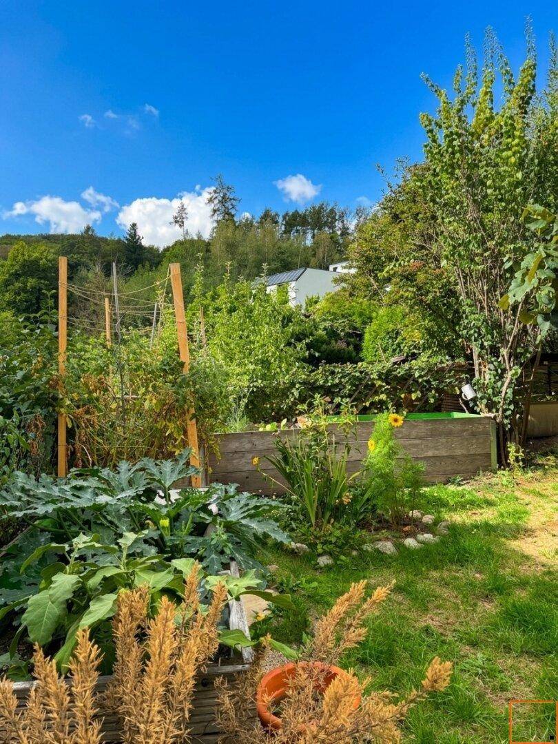 Garten mit Hochbeet
