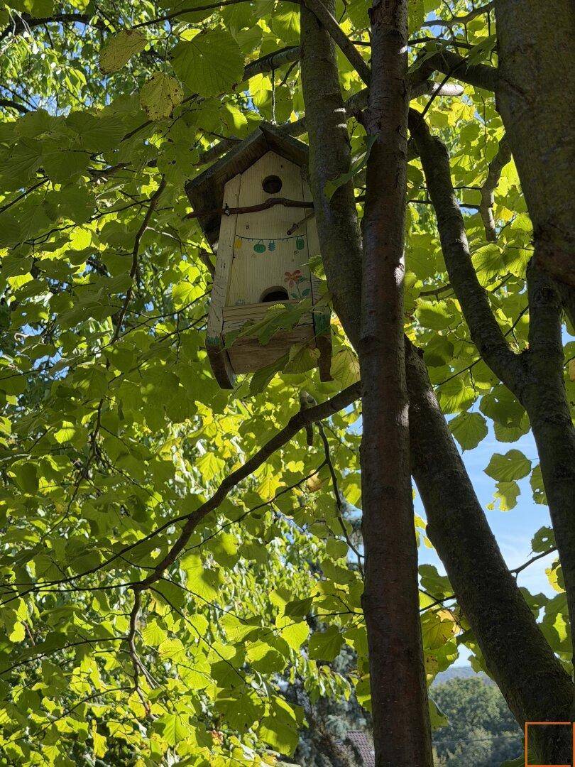 Vogelhäuschen