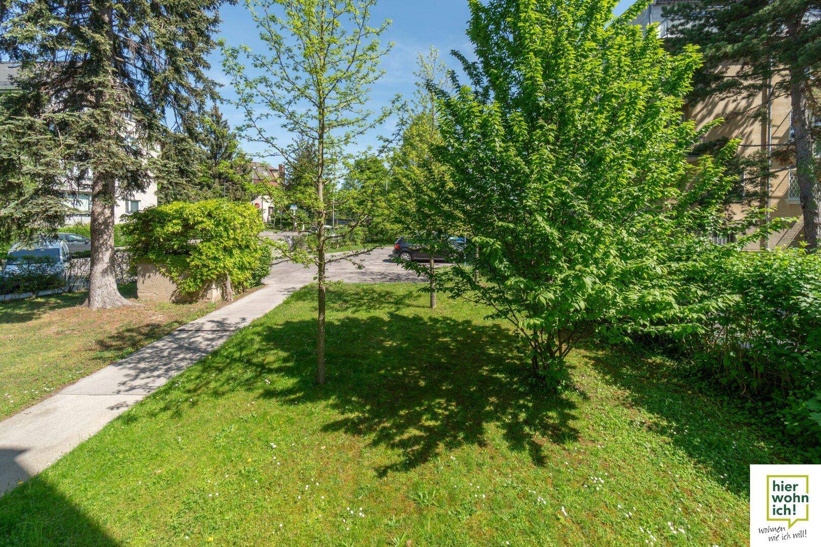 Gepflegte Grünfläche mit Bäumen und einem Fußweg vor dem Wohngebäude.
