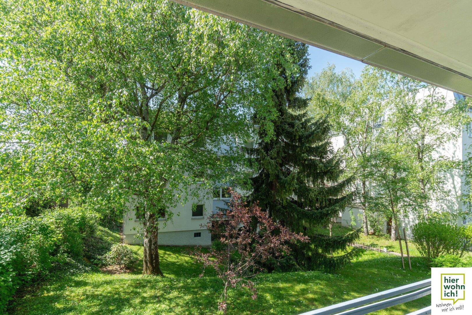 Sonniger Balkon mit weitem Blick auf die grüne Umgebung und hohe Bäume.