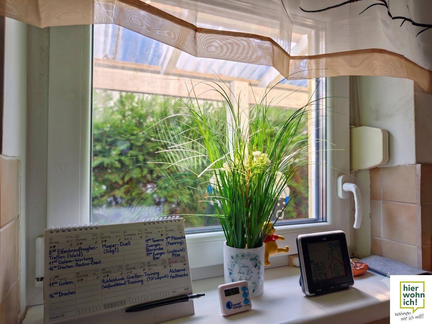 Detailansicht des Küchenfensters mit Blick auf die üppige grüne Bepflanzung im Garten.