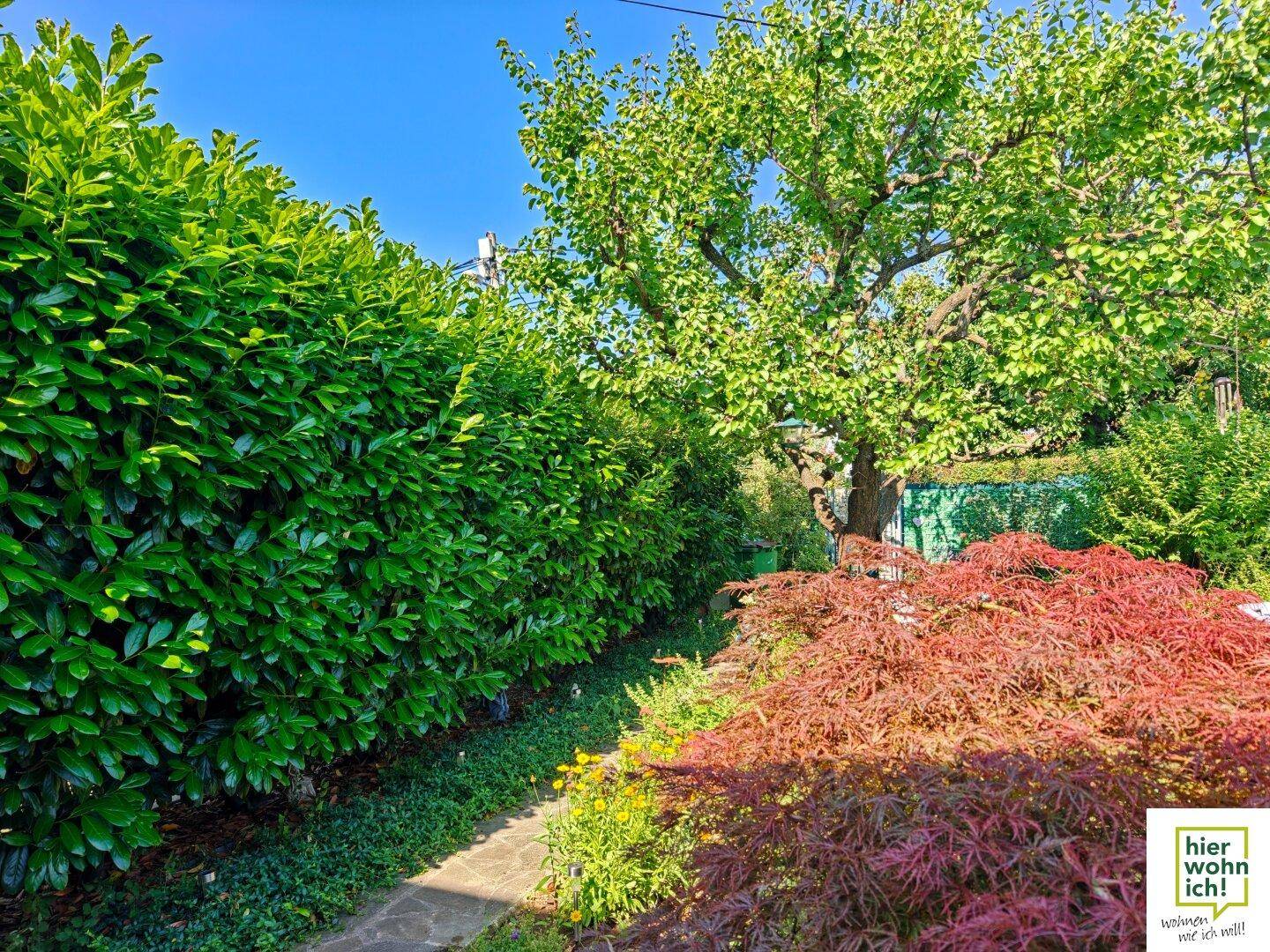Üppiger Gartenbereich mit hoher Hecke, einem Baum und farbenfrohen Pflanzen unter blauem Himmel.