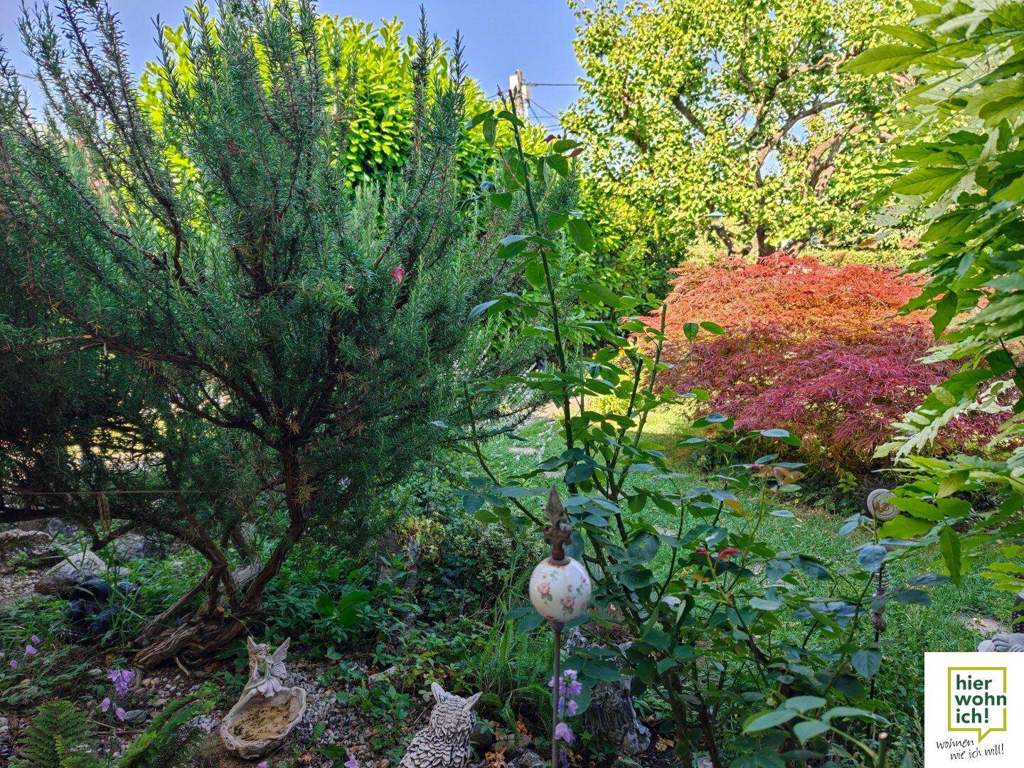 Vielfältiger Garten mit verschiedenen Pflanzen, darunter ein großer Rosmarinbusch und dekorative Elemente.