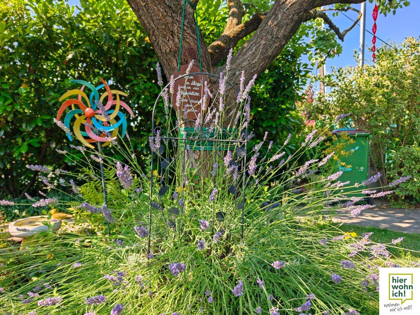 Blühender Lavendelbusch mit einem bunten Windrad und einem Baum im Hintergrund, bei Sonnenschein.