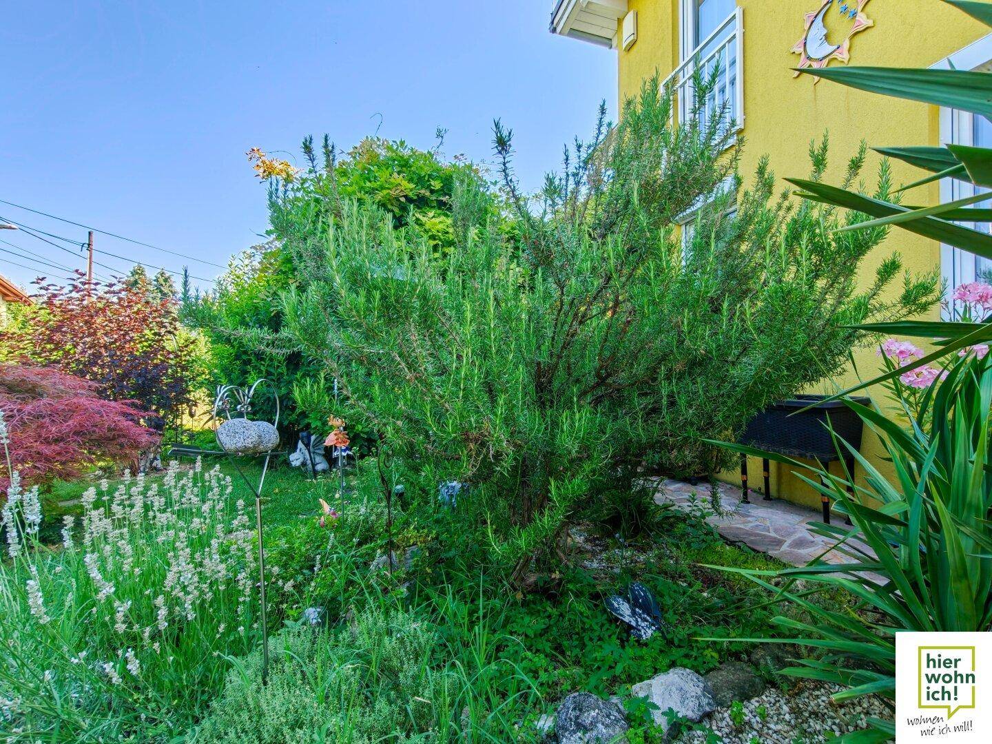 Seite des gelben Hauses mit vielfältiger Gartengestaltung, Pflanzen und dekorativen Elementen.