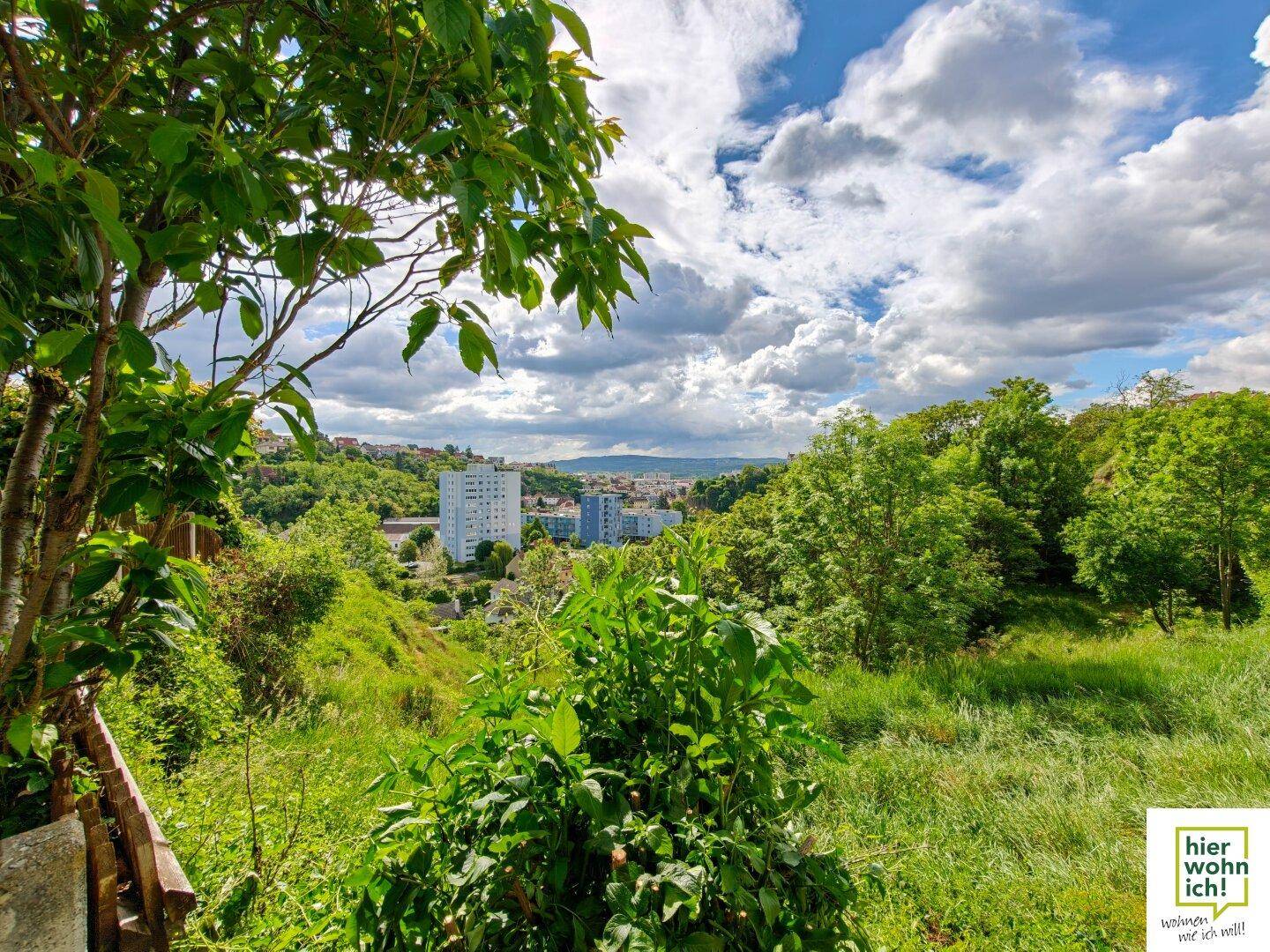 Panoramablick über eine grüne Landschaft mit städtischer Bebauung in der Ferne.